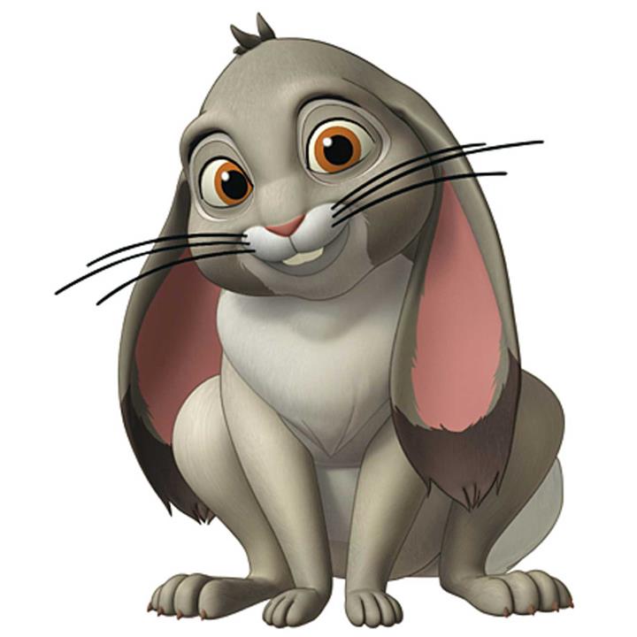 استند تولد طرح سوفیا کد 062